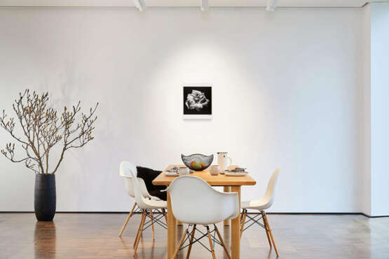 Robert Mapplethorpe. Flower - photo 5 Robert Mapplethorpe. Flower - photo 5