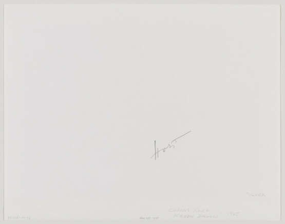 Horst P. Horst. Cornus Kousa Korean Dogwood - photo 3