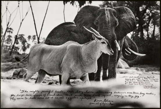 Peter Beard. Bull Eland Passing Elephants Digging for Water in the Tiva Dry River - photo 1