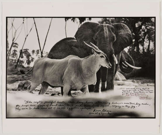 Peter Beard. Bull Eland Passing Elephants Digging for Water in the Tiva Dry River - photo 2