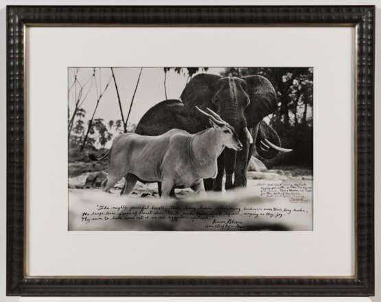 Peter Beard. Bull Eland Passing Elephants Digging for Water in the Tiva Dry River - photo 4