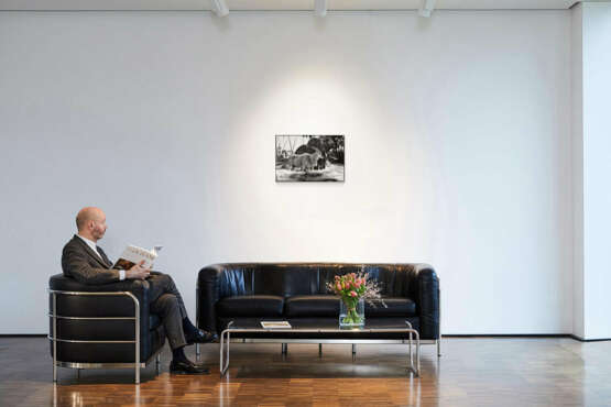 Peter Beard. Bull Eland Passing Elephants Digging for Water in the Tiva Dry River - photo 5