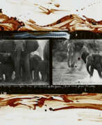 Aperçu. Peter Beard. Elephants at Buffalo Springs, Kaso Nyiro, Kenya for the End of the Game