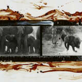 Peter Beard. Elephants at Buffalo Springs, Kaso Nyiro, Kenya for the End of the Game - Foto 1