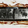 Peter Beard. Elephants at Buffalo Springs, Kaso Nyiro, Kenya for the End of the Game - Maintenant aux enchères