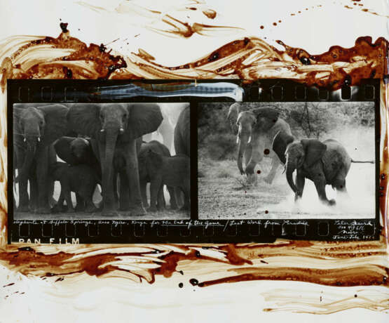 Peter Beard. Elephants at Buffalo Springs, Kaso Nyiro, Kenya for the End of the Game - Foto 1 Peter Beard. Elephants at Buffalo Springs, Kaso Nyiro, Kenya for the End of the Game - Foto 1