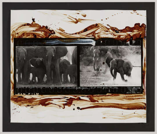 Peter Beard. Elephants at Buffalo Springs, Kaso Nyiro, Kenya for the End of the Game - Foto 2 Peter Beard. Elephants at Buffalo Springs, Kaso Nyiro, Kenya for the End of the Game - Foto 2