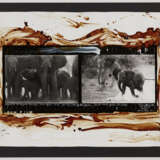 Peter Beard. Elephants at Buffalo Springs, Kaso Nyiro, Kenya for the End of the Game - Foto 2