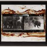 Peter Beard. Elephants at Buffalo Springs, Kaso Nyiro, Kenya for the End of the Game - Foto 3
