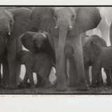 Peter Beard. The End of the Game - photo 1