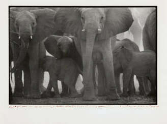 Peter Beard. The End of the Game