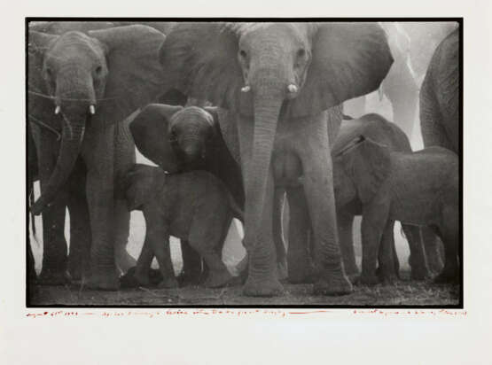 Peter Beard. The End of the Game - photo 1 Peter Beard. The End of the Game - photo 1