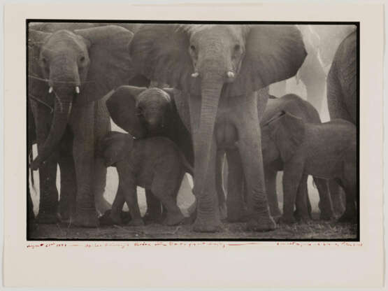 Peter Beard. The End of the Game - photo 2 Peter Beard. The End of the Game - photo 2