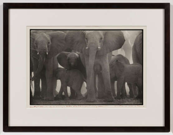 Peter Beard. The End of the Game - photo 4 Peter Beard. The End of the Game - photo 4