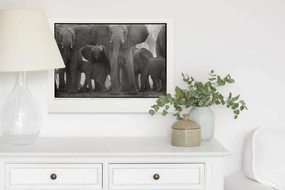 Peter Beard. The End of the Game - photo 5 Peter Beard. The End of the Game - photo 5