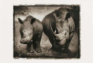 Nick Brandt. Rhino Mother and Child