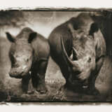 Nick Brandt. Rhino Mother and Child - Foto 1