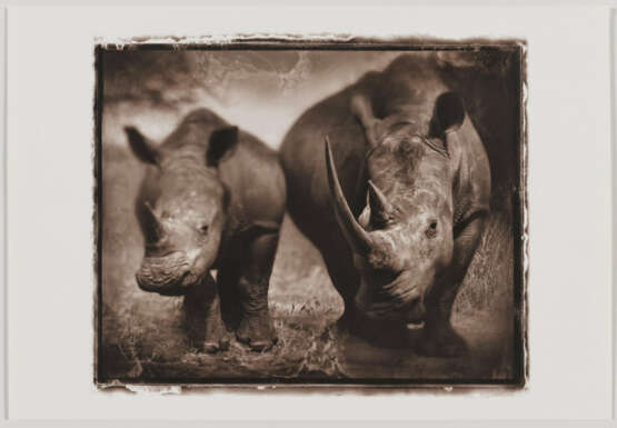 Nick Brandt. Rhino Mother and Child - Foto 2