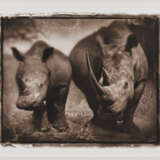 Nick Brandt. Rhino Mother and Child - Foto 2