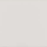 Nick Brandt. Rhino Mother and Child - Foto 3