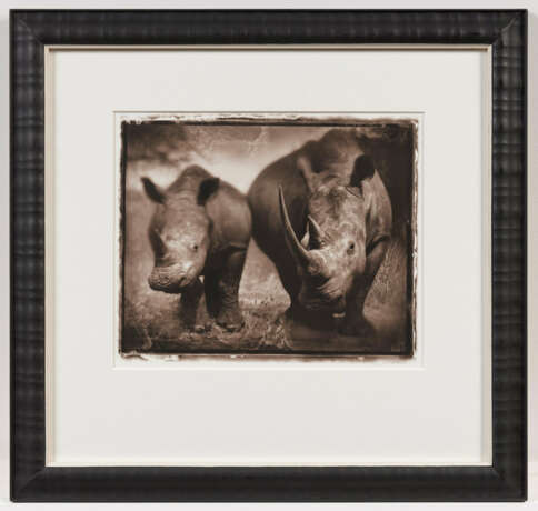 Nick Brandt. Rhino Mother and Child - Foto 4