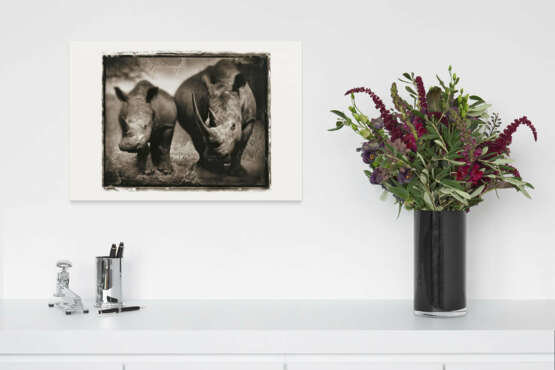 Nick Brandt. Rhino Mother and Child - Foto 5