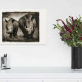 Nick Brandt. Rhino Mother and Child - Foto 5