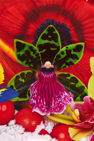 Marc Quinn. Emperor Penguins Hunting Ground - photo 1