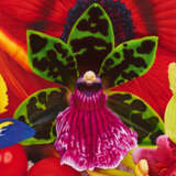 Marc Quinn. Emperor Penguins Hunting Ground - photo 1