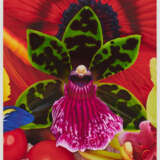 Marc Quinn. Emperor Penguins Hunting Ground - photo 2