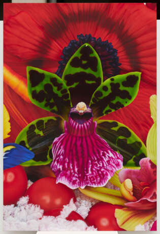 Marc Quinn. Emperor Penguins Hunting Ground - photo 2