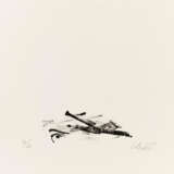 Günther Uecker. Sarajewo - Foto 9