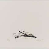 Günther Uecker. Sarajewo - Foto 10