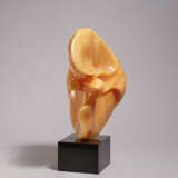 Benito Viliano Tarabella. Orchidée - photo 2