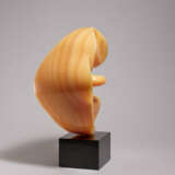 Benito Viliano Tarabella. Orchidée - photo 4