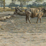 Robert Bateman. Untitled - фото 1