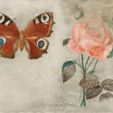 Jiri Anderle. Rosa centifolia - photo 1