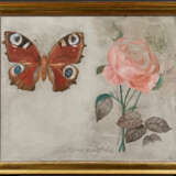 Jiri Anderle. Rosa centifolia - photo 2