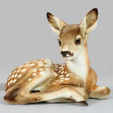 Liegendes Rehkitz von Allach - photo 1