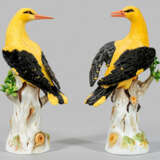 Paar Pirole - photo 1