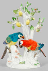 Große Papageiengruppe