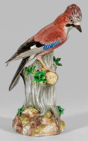 Großer Eichelhäher auf Stamm von Meissen - фото 1