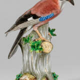 Großer Eichelhäher auf Stamm von Meissen - фото 1