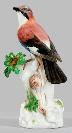 Großer Eichelhäher auf Stamm von Meissen - фото 1