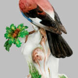 Großer Eichelhäher auf Stamm von Meissen - фото 1