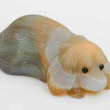 Miniatur-Hund - photo 1