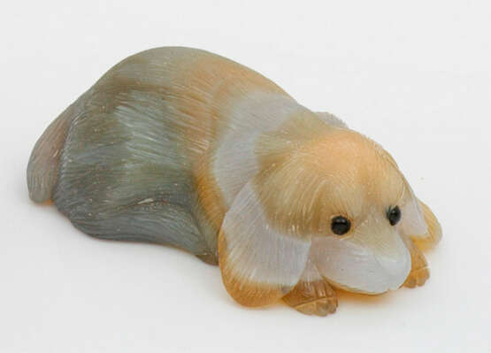 Miniatur-Hund - photo 1 Miniatur-Hund - photo 1