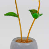 Kleiner Zier-Blumentopf - Foto 1