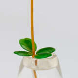 Kleiner Zier-Blumentopf - Foto 1