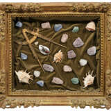 Außergewöhnlicher Wunderkammer-Schaukasten - фото 1